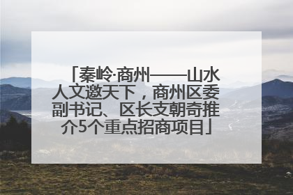 秦岭·商州——山水人文邀天下，商州区委副书记、区长支朝奇推介5个重点招商项目